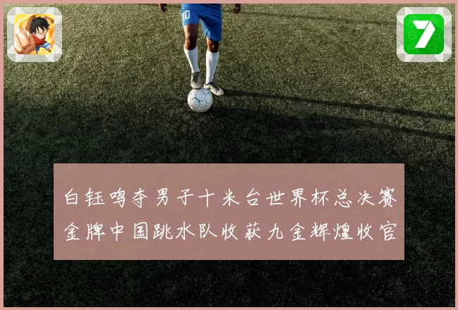 白钰鸣夺男子十米台世界杯总决赛金牌中国跳水队收获九金辉煌收官